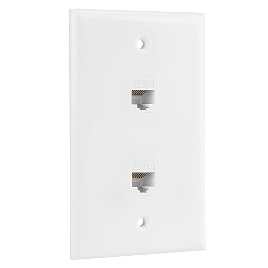 Ethernet Wall Plate, 2 Port Cat 6 RJ45 Keystone Female to Female Wall Plate Compatible with Cat7/6/6e/5/5e Ethernet Devices