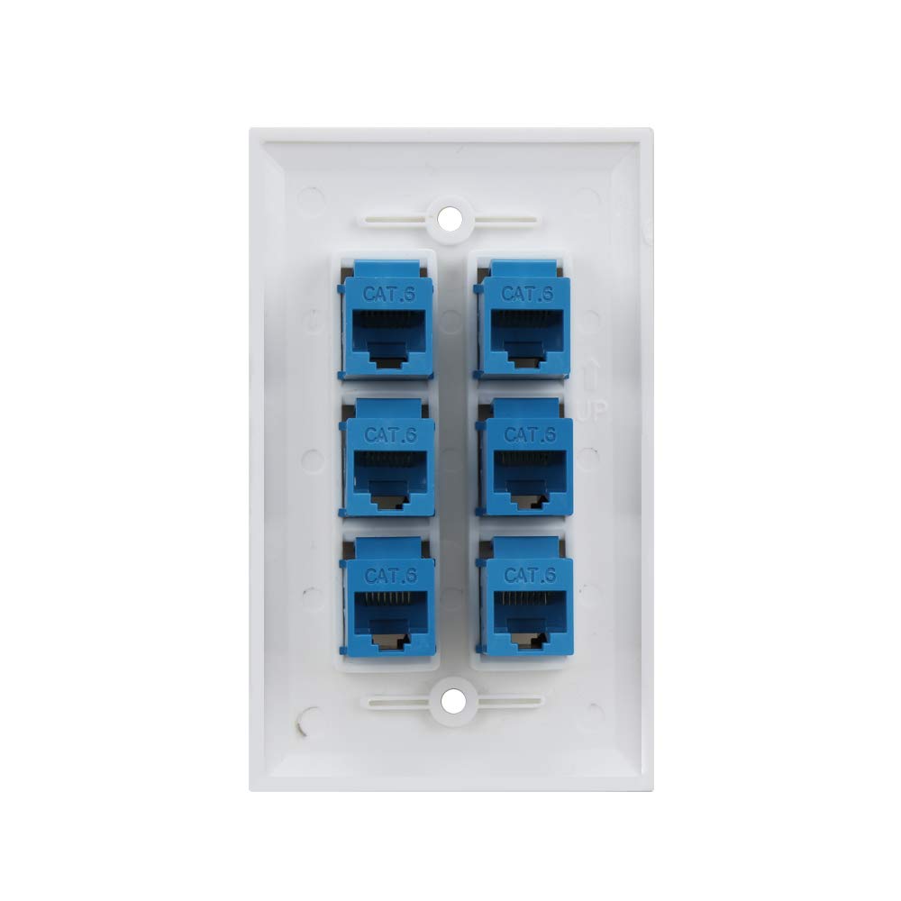 Cat 6 Ethernet Wall Plate 6 Port Blue