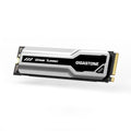 Gigastone M.2 SSD 1TB PCIe 3.0 NVMe SSD 3,400MB/s Internal Gaming Solid State Hard Drive Turbo Speed Heatsink Cooling Heat Dissipation PC Laptop Storage for Gamers Video Editing Creators