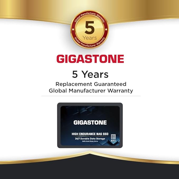 Gigastone 1TB NAS SSD Drive (24-Pack) 24/7 Durable TLC High Endurance RAID Data Storage Network Attached Storage 2.5" SATA Internal Solid State Hard Drives