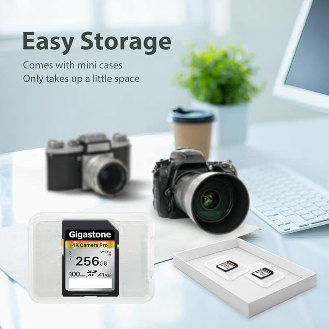 [5-Yrs Free Data Recovery] GIGASTONE 256GB SD Card, 4K Camera Pro, A1 V30 SDXC Memory Card 4K UHD Video Compatible with Canon Digital Camera, with 1 Mini Case