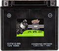 Interstate Batteries YTX12-BS 12V 10Ah Powersports Battery 175CCA AGM Rechargeable Replacement for Honda, Kawasaki, Suzuki Motorcycles, Scooters, Bikes, ATVs, UTVs (CITX12-BS)