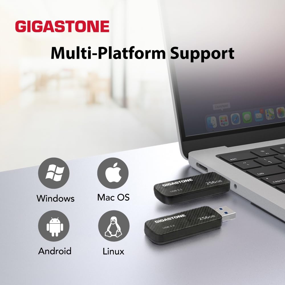 GIGASTONE 256GB USB 3.2 Flash Drive, 100MB/s High-Speed Data Transfer, Carbon Fiber Design, Retractable