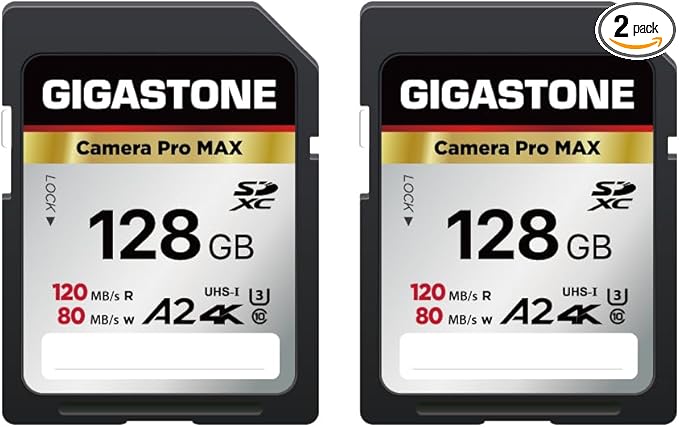 [5-Yrs Free Data Recovery] GIGASTONE 128GB SD Card 2-Pack, 4K Camera Pro MAX, A2 4K SDXC Memory Card High Speed 4K UHD Video Compatible with Canon Kodak Digital Camera, with 2 Mini case