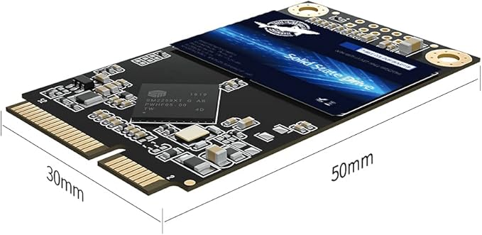 Dogfish mSATA SSD 256GB 3D NAND TLC SATA III 6 Gb/s, mSATA (30x50.9mm) Internal Solid State Drive - Compatible with Desktop PC Laptop - (MSATA 256GB)