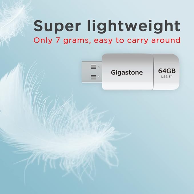 GIGASTONE 64GB Flash Drive (2 Pack) Z60 USB 3.2 Gen 1, 100MB/s Ultra Fast, Retractable Capless Slider Design, Data Storage, Backup for PC/Mac/TV/Car Audio, USB 2.0/3.0/3.1 Compatible