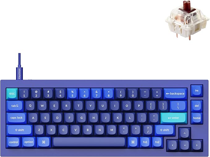 Keychron Q2 Wired Custom Mechanical Keyboard, QMK/VIA Programmable Macro, Full Aluminum, Hot-Swappable Gateron G Pro Brown Switch, 65% Layout Double Gasket Compatible with Mac and Windows - Blue
