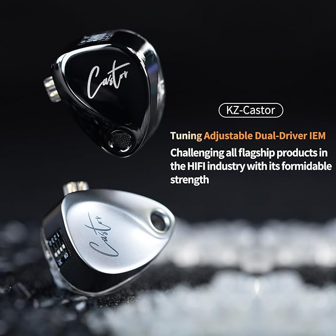 KZ Castor in-Ear Monitor Dual-Dynamic Drivers Headphones with 4 Tuning Switches HiFi Noise Cancelling Earphones, Clarity Stereo Sound Earbuds for Audio Engineers, Musicians(Silver, with Mic)