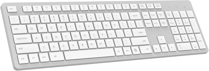 LeadsaiL Wireless Keyboard, 2.4GHz Full-Sized Ergonomic Computer Keyboard, Cordless Noiseless Keyboard,12 FN Shortcuts for Windows MacOS Laptop Computer - White and Grey