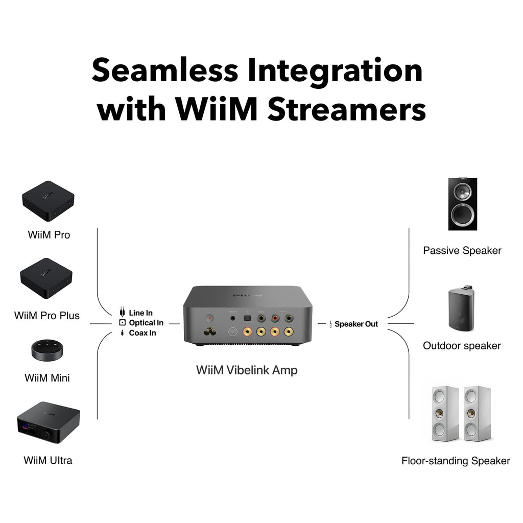 WiiM Vibelink Amp | 100W Power Amplifier with Premium ESS 9039Q2M DAC and TI TPA3255 | Compatible with WiiM Mini, Pro, Pro Plus, and Ultra | RCA, Coax, and Optical Inputs | Space Gray