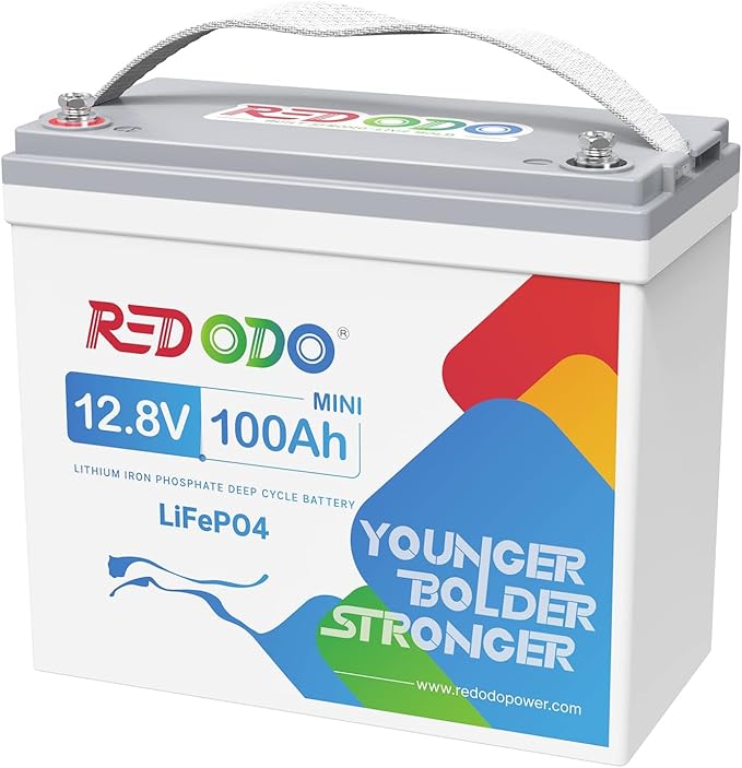 Redodo 12V 100Ah Mini LiFePO4 Battery, Smallest Lithium Battery with Upgraded 100A BMS, Max 1280Wh, Up to 15000 Deep Cycles Battery with 10 Years Lifetime for RV, Trolling Motor, Solar Home, Camping