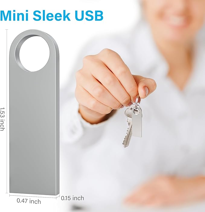 ABLAZE 4GB Flash Drive 20 Pack, Metal USB 2.0 Thumb Drives with Keychains USB Sticks Pendrives (Sliver)