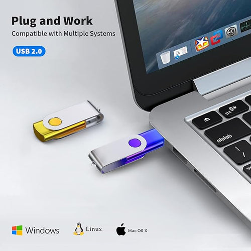 ABLAZE 64GB Flash Drive 2 Pack, USB 2.0 Thumb Drives with Lanyards Swivel USB Memory Stick 64GB（Green and Purple