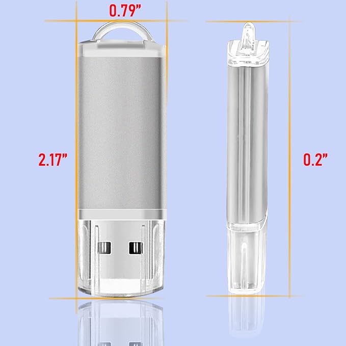 USB Thumb Drive 1GB Flash Drives 20 Pack, Nicepicten Memorias USB 2.0 Memory Stick Fat Flash Zip Drive 1 GB Jump Drives Multipack Pendrive with Landards and Lables (Sliver 1GB, 20 Pieces)