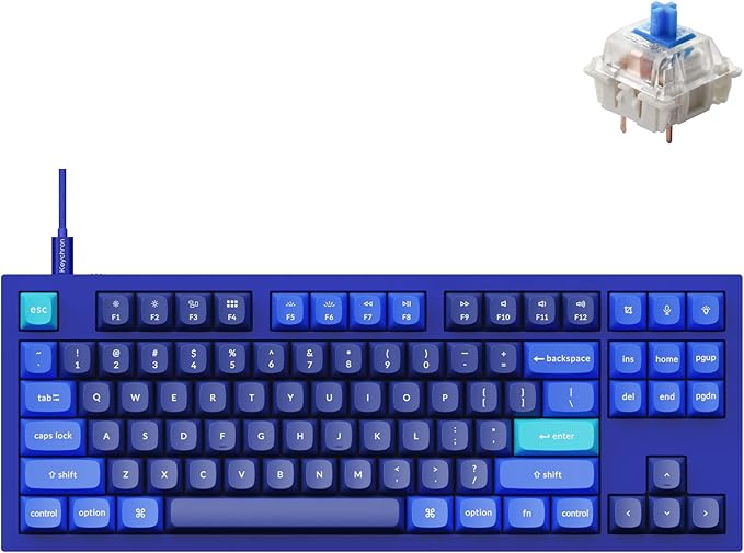 Keychron Q3 RGB Tenkeyless Layout QMK/VIA Programmable Macro Hot-swappable Wired Custom Mechanical Keyboard with Gateron G Pro Blue Switch Double Gasket Compatible with Mac Windows Linux (Blue)
