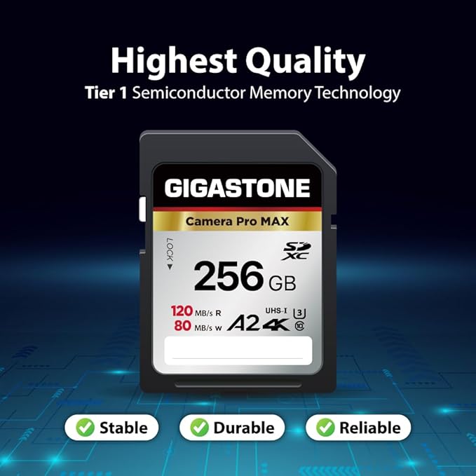 [5-Yrs Free Data Recovery] GIGASTONE 256GB SD Card, 4K Camera Pro MAX, A2 4K SDXC Memory Card High Speed 4K UHD Video Compatible with Canon Kodak Digital Camera, with 1 Mini case