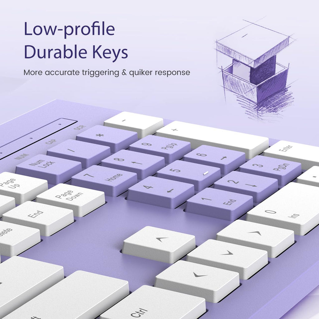 COLIKES Wired Keyboard, Ultra-Thin USB Wired Computer Keyboard, Low-Profile Keys, Spill-Resistant, Multimedia Keys, Compatible with Windows, Mac, Chrome, Linux, and Android-Purple