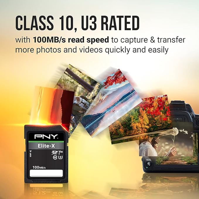PNY 128GB Elite-X Class 10 U3 V30 SDXC Flash Memory Card - 100MB/s, Class 10, U3, V30, 4K UHD, Full HD, UHS-I, Full Size SD (Pack of 2)