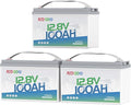 Redodo 3 Pack 12V 100Ah Lithium LiFePO4 Battery, Group 31 Battery Built in 100A BMS, Up to 15000 Cycles, 10 Years Lifetime, Perfect for RV, Off Grid, Solar, Marine, Trolling Motor