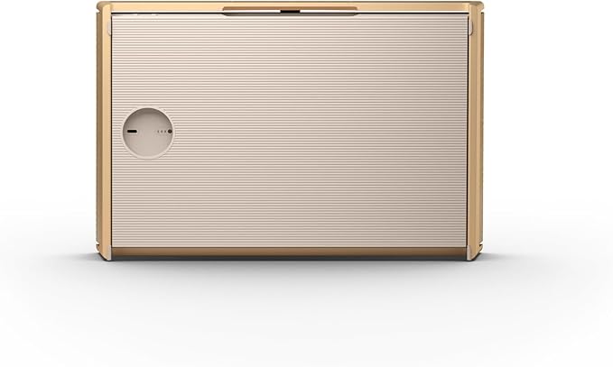 Bang & Olufsen Beosound Level Portable Wi-Fi Multiroom Speaker, Gold Tone/Light Oak