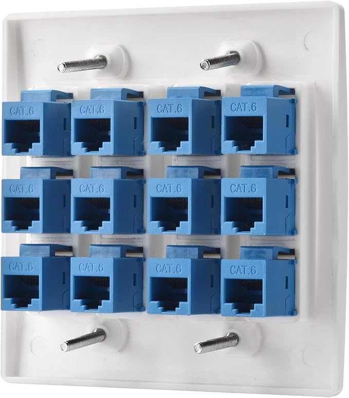 Cat6 Keystone Ethernet Wall Plate Female to Female - White (12 Port)
