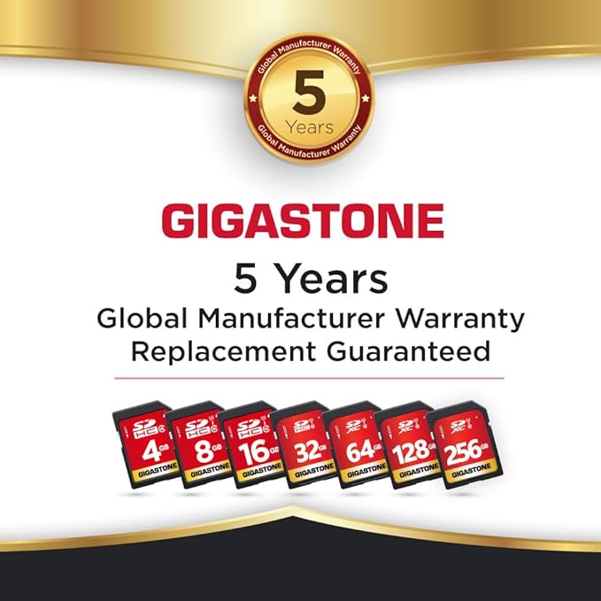 GIGASTONE 64GB SD Card 10-Pack UHS-I U1 Class 10 SDXC Memory Card High Speed Full HD Video Canon Olympus Digital Camera with 10 Mini Cases