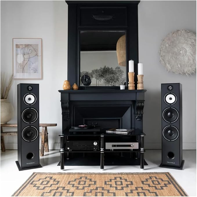 triangle - BOREA BR10 Hi-Fi Floorstanding Speakers - Power handling 200W - Efficiency 92 dB/W/m - 21cm Drivers - Versatile Music and Home Cinema - 245 x 1110 x 380 mm - Black (Piece)