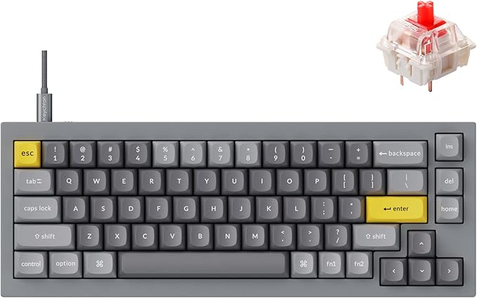 Keychron Q2 Wired Custom Mechanical Keyboard, QMK/VIA Programmable Macro, Full Aluminum, Hot-Swappable Gateron G Pro Red Switch, 65% Layout Double Gasket Compatible with Mac and Windows - Grey