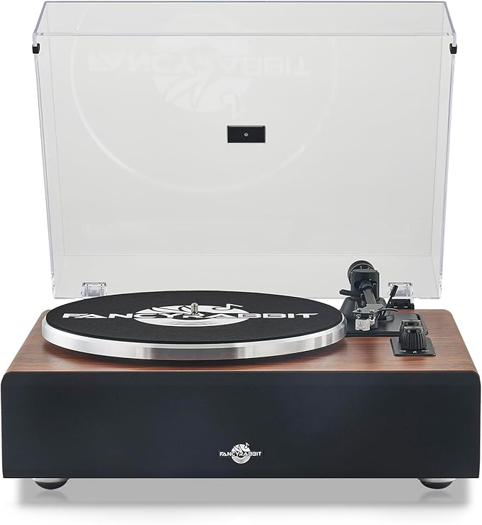 Record Player with Speakers,Turntables for Vinyl Records with Magnetic Cartridge for Home Decoration & Entertainment,Vinyl Record Player Will be a for Birthday and Christmas