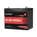 12V 100Ah Mini LiFePO4 Lithium Battery, Built-in 100A BMS
