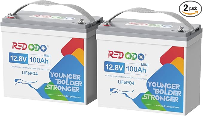 Redodo 2 Pack 12V 100Ah Mini LiFePO4 Lithium Battery, 1280Wh Deep Cycle Battery with Upgraded 100A BMS, UP to 15000 Cycles, Perfect for RV, Camping, Solar Home Storage, Off-Grid, Trolling Motor