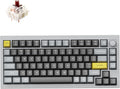Keychron Q1 RGB Wired Custom Mechanical Keyboard Knob Version, 75% Layout QMK/VIA Programmable with Hot-swappable Gateron G Pro Brown Switch Double Gasket Compatible with Mac Windows Linux (Grey)