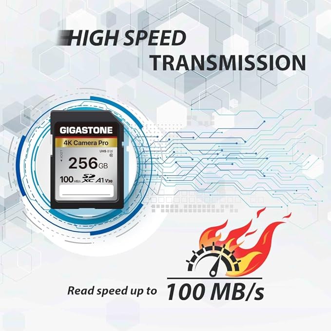 [5-Yrs Free Data Recovery] GIGASTONE 256GB SD Card with USB Type C Card Reader, 4K Camera Pro, A1 V30 U3 SDXC Memory Card Compatible with Canon Digital Camera, with 1 Mini case