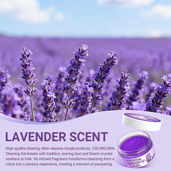Car Cleaning Gel Reusable 2Pack - Lavender Scent Dust Cleaning Putty Keyboard Slime for Car Interior Air Vent Cleaner, Auto Detailing Tools Accessories, Dust Remover Gifts for Men Women,200g,Purple