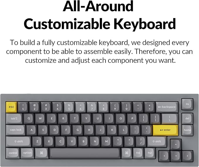 Keychron Q2 Wired Custom Mechanical Keyboard, QMK/VIA Programmable Macro, Full Aluminum, Hot-Swappable Gateron G Pro Red Switch, 65% Layout Double Gasket Compatible with Mac and Windows - Grey