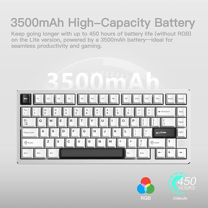 KEEBMONKEY WOBKEY Rainy 75 CNC Aluminum HMX/JWK/Cocoa Switches Triple-Mode Connectivity Mechanical Keyboard with Superior Acoustics, RGB/PP/Mirrored Glass/3500mAh/Violet Switch (Standard - Silver)