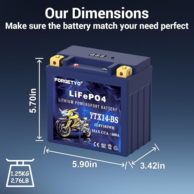 YTX14-BS Lithium Motorcycle Battery, ATV Battery 12V 8AH 600CCA Compatible with Yamaha Scooter Snowmobile Jet Ski, Scooter, PWC & More