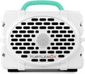 Turtlebox Original Gen 3: Portable Outdoor Bluetooth Speaker – Ultra-Loud (120dB), Waterproof (IP67), Rugged, Impact-Resistant, 3-Day Battery | Party Mode: Unlimited Pairing Stereo, White/Seafoam
