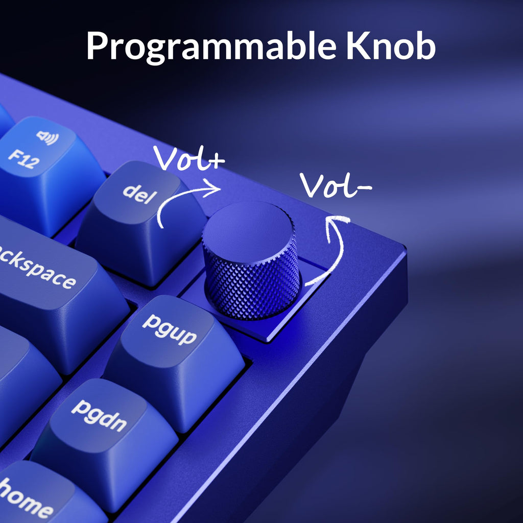 Keychron Q1 RGB Wired Custom Mechanical Keyboard, 75% Layout QMK/VIA Programmable Macro with Hot-swappable Gateron G Pro Blue Switch Double Gasket Compatible with Mac Windows Linux (Blue) -Version 2