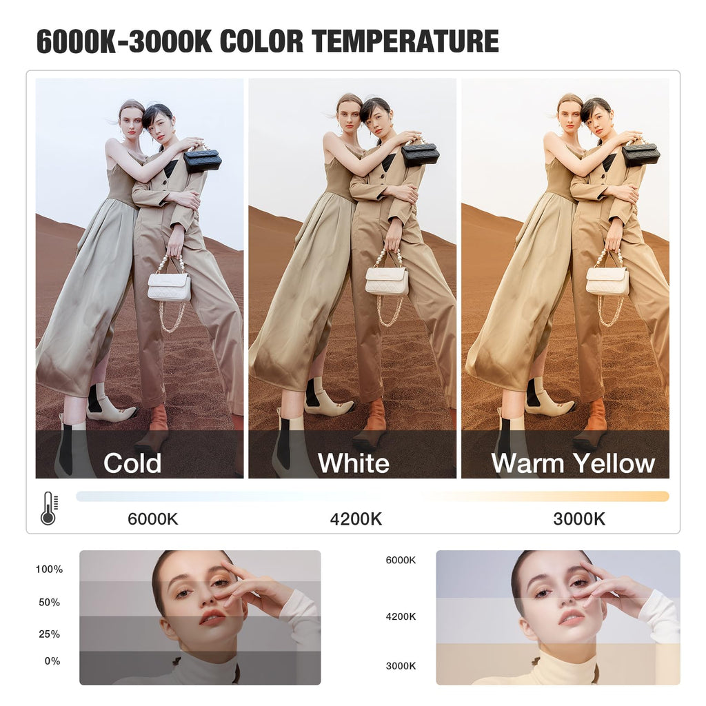 BEIYANG Softbox Lighting Kit, 2x20''x28'' Photography Soft Box with 2 pcs 6000K E27 LED Socket LED Bulbs, Studio Lights for Photography/Video Recording/Live Streaming