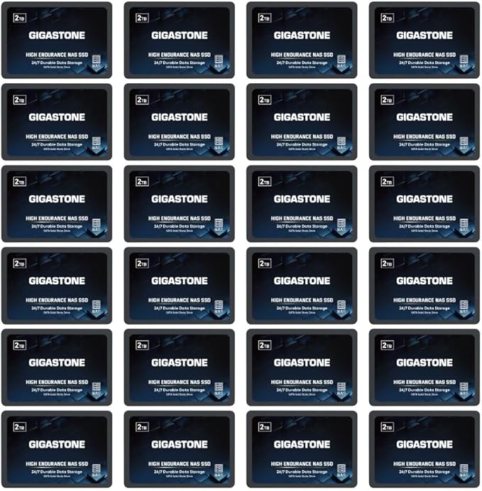 Gigastone 2TB NAS SSD Drive (24-Pack) 24/7 Durable TLC High Endurance RAID Data Storage Network Attached Storage 2.5" SATA Internal Solid State Hard Drives