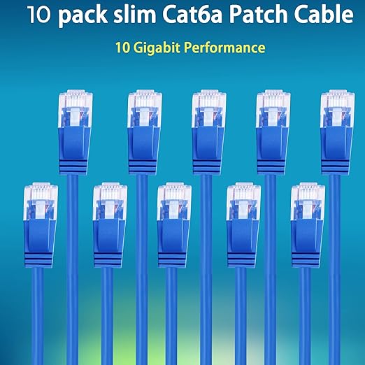 Rapink Cat6a 5ft Ethernet Cables (10 Pack) - Slim, 10G Support, Snagless, Flexible with Gold Plated Connectors