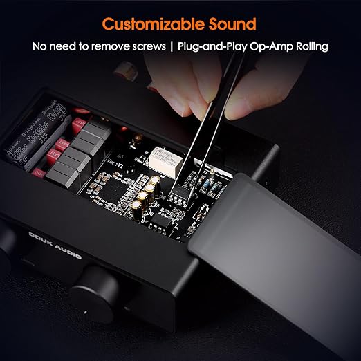 Douk Audio A5 2 Channel TPA3255 Stereo Amp, 300 Watts x2 Mini Hi-Fi Audio Power Amplifier Class D for Home Theater System, Passive Bookshelf Tower Speakers with High-Pass Filter + 48V Power Supply