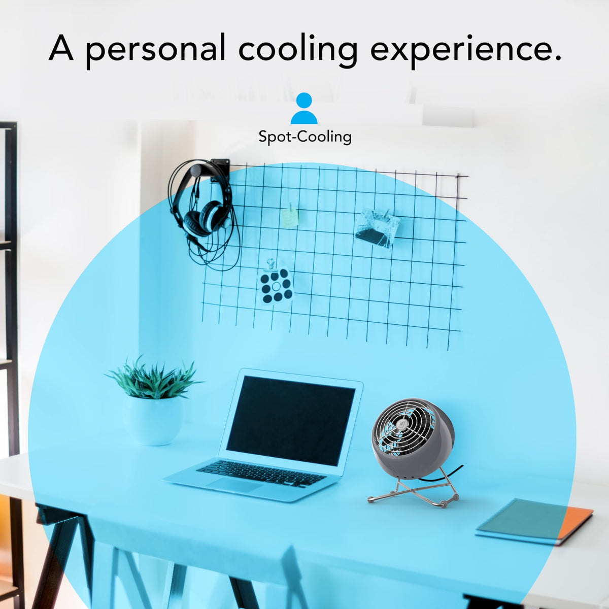 Vornado VFAN™ Mini Modern Personal Desk Fan with 2-Speed Control, Adjustable Tilt, Quiet Metal Air Circulator for Office, Bedroom, Dorm, Compact Desktop Cooling Device, Storm Gray
