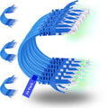 Rapink Patch Cables Cat6 2ft (24 Pack), Ethernet Patch Cable 10G, Cat 6 Patch Cable for Patch Panel to Switch, Flexiable Cat 6 Ethernet Cable with Gold Plated Blue