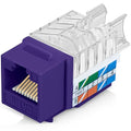 Everest 45° Angled RJ45 Cat6 Keystone Jacks 10-Pack in Purple - Slim Profile Female RJ45 Connectors - Cat 6 Keystone Jack - Compatible with 45° Angled Speed Termination Tool - 45Term (B0BL3GS7ZY)