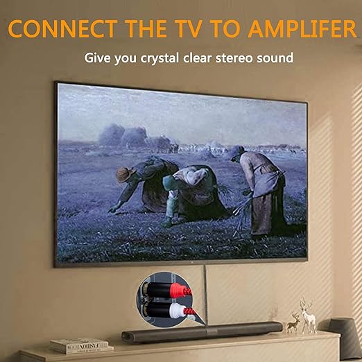 RCA Cable 25Ft,2Rca Male to 2-Rca Male Audio Stereo Subwoofer Cable [Hi-Fi Sound] Nylon-Braided Auxiliary Audio Cord for Home Theater, HDTV, Amplifiers, Hi-Fi Systems,Speakers and etc(25Ft/8M)