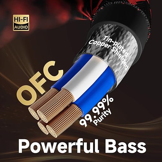 TODN Shielded RCA Audio Cables Audiophile 2Male to 2Male OFC RCA Stereo Cable for Car Audio, HiFi Systems (9.8ft/3m, 1 Pair)