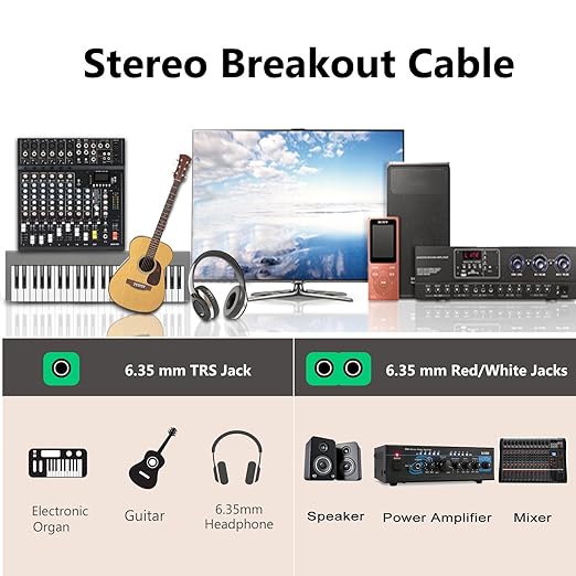 Devinal TRS to Dual TS Breakout Cable - 1/4" Female Stereo to Dual 6.35mm TS Male Adapter & 6.35mm Female to 2 x 1/4" Mono Y Splitter - 1 ft