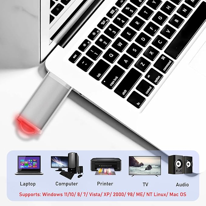 1GB USB Flash Drives 20 Pack, Memorias USB Thumb Drive 2.0 Memory Stick Fat Zip Drive 1 GB Jump Drives Multipack Pendrive with Landards and Lables (Sliver, 1Count 20 Packs)